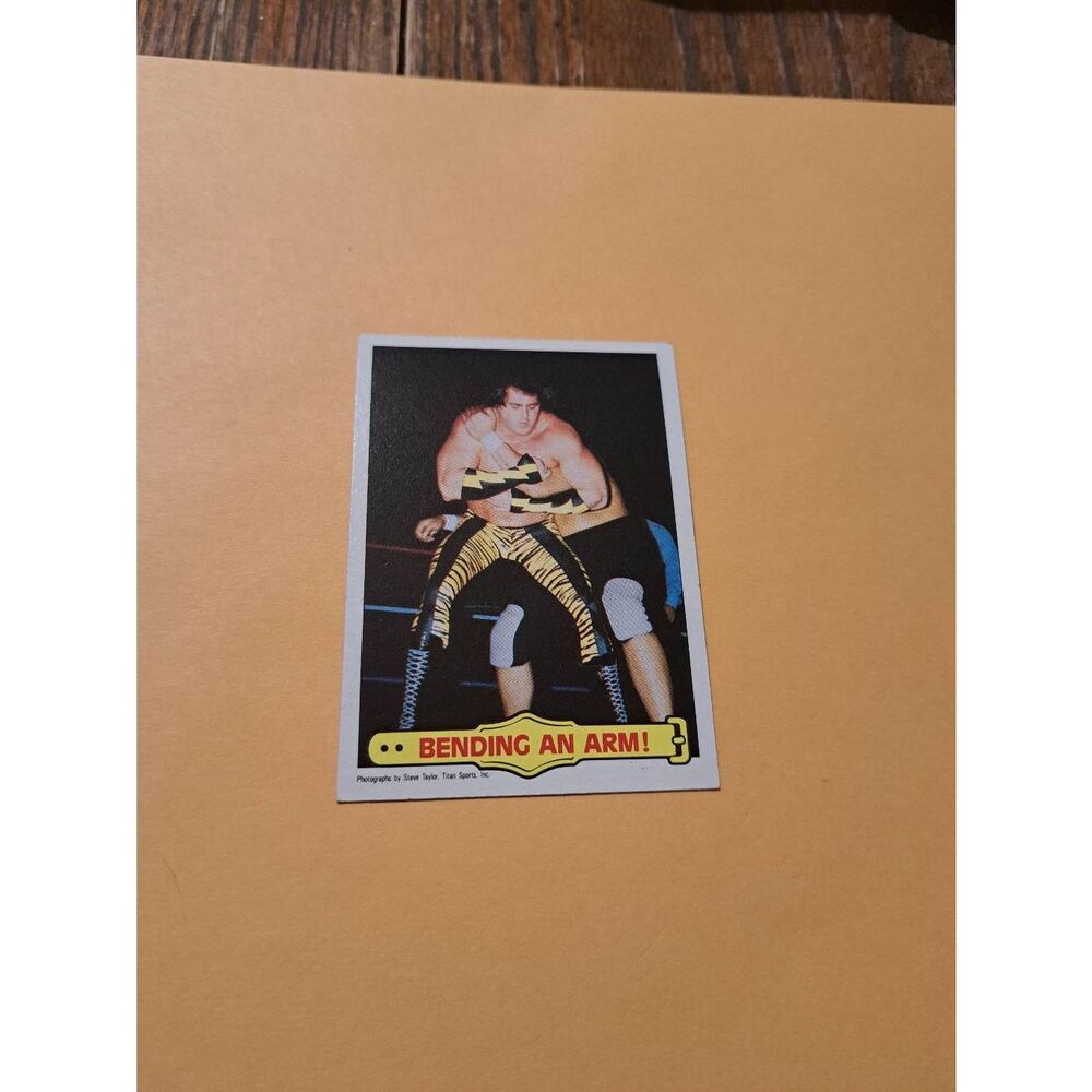 Vintage 1985 Topps WWF Wrestling Trading Card 41 Brutus Beefcake Ringside Action
